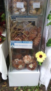 IMG_20160918_095300_1