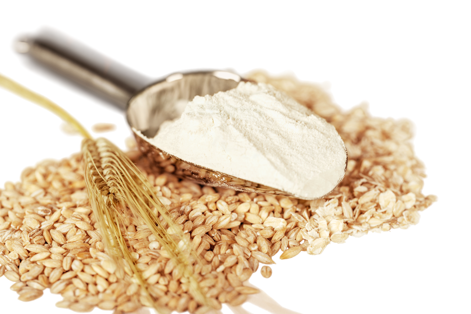 kisspng-oat-atta-flour-wheat-flour-whole-grain-boulangerie-5b4845f4aef0e3.5828580515314631567166