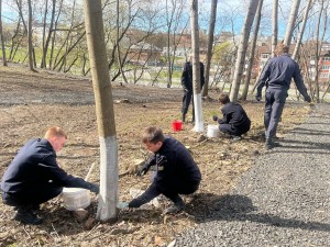 T3aa1EVLwNJ3BGJUwc_FOxmn9thc4lWCa-CCHRqDqAfnDzv-jcsZ1ZpL41wonmWUI6QQ7dqoEs87pjKMF0fm8CCe